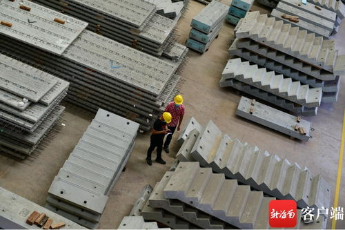 解封后海口云龍產業園復工復產有序推進，建筑材料供應保障成效顯著